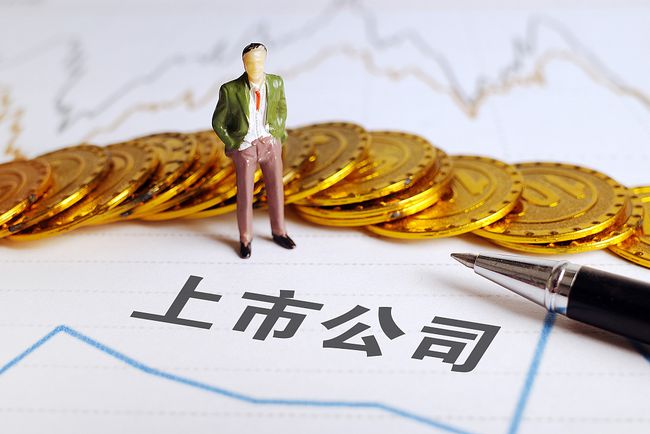 ipo是啥意思(ipo 審核狀態(tài)為已反饋是什么意思)