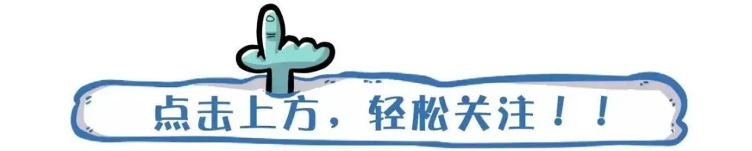 企業(yè)常用的稅務(wù)籌劃方案有哪些？