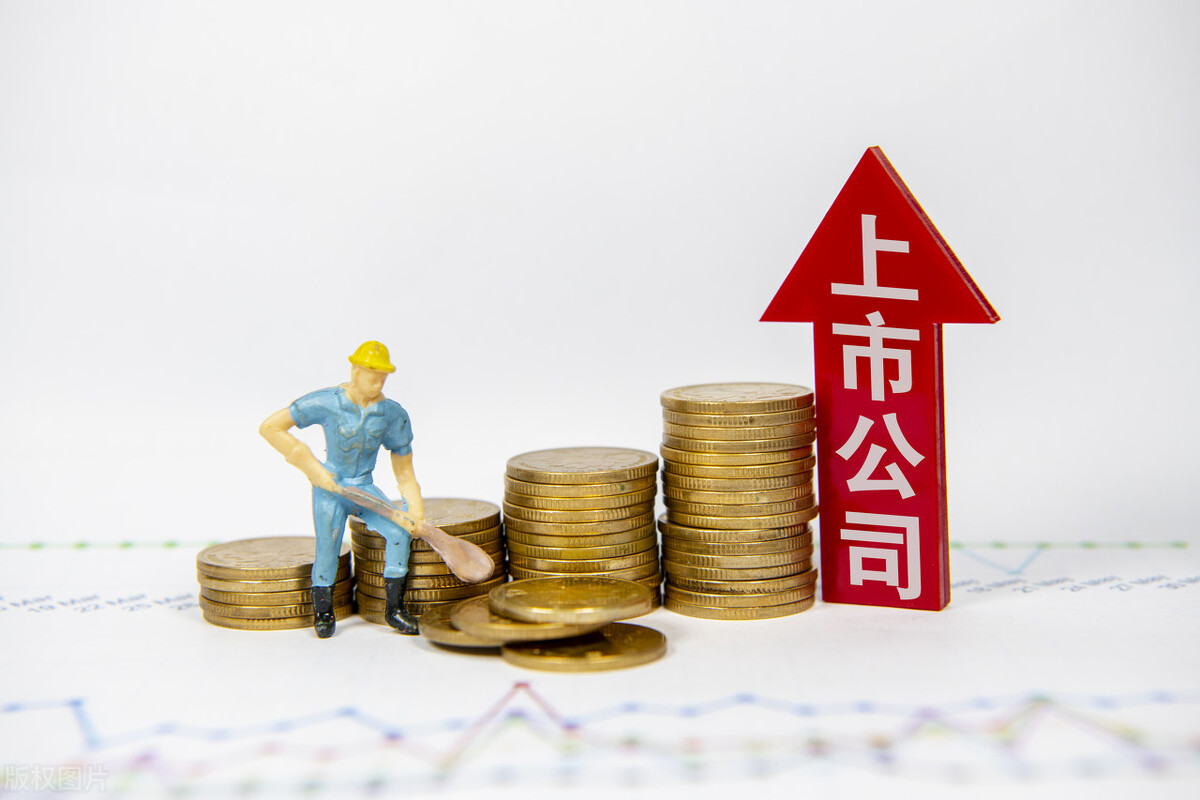 價值投資學(xué)習(xí)筆記——3、公司上市的好處？