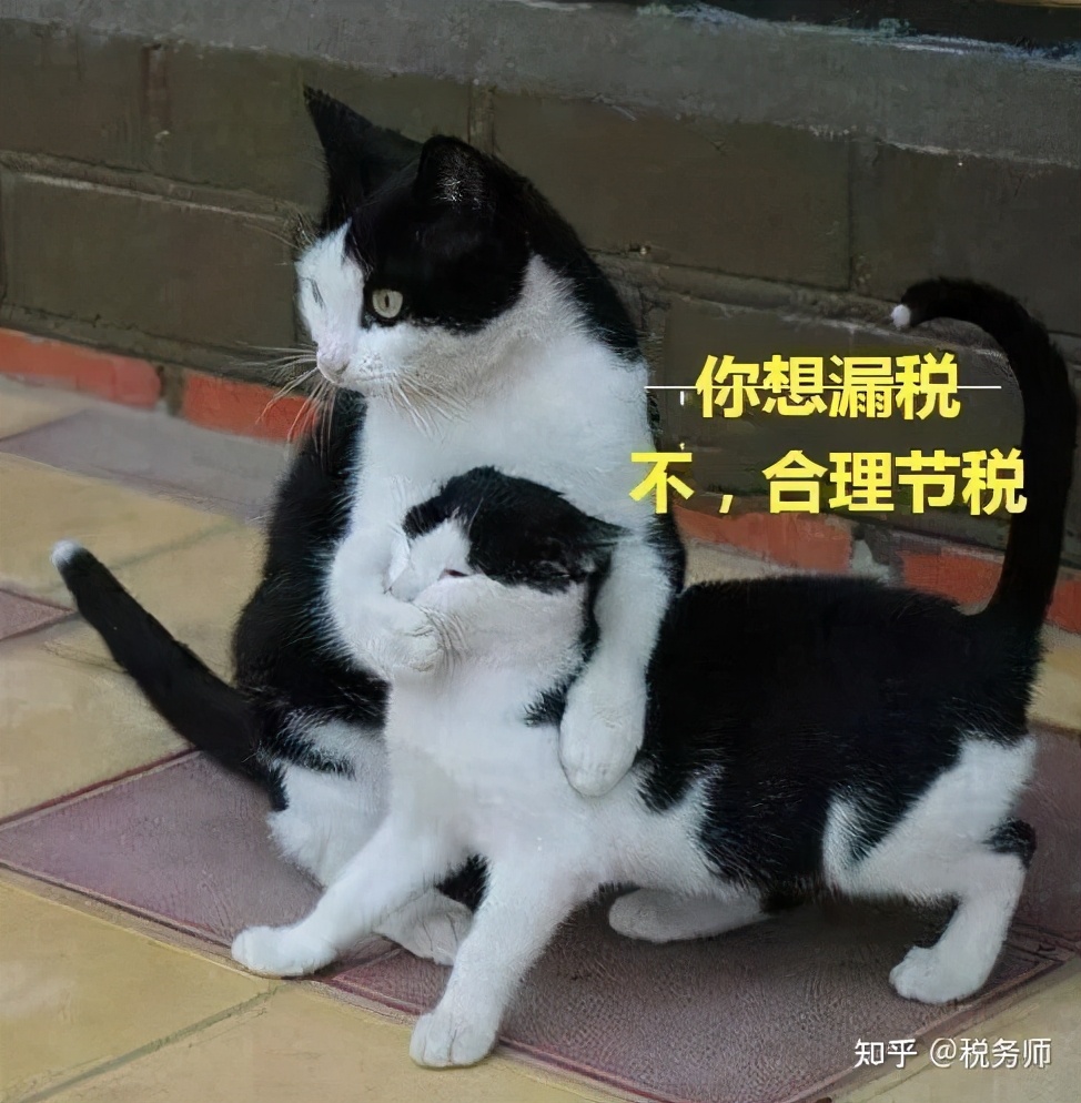 稅務籌劃，真的可以為公司企業(yè)節(jié)稅嗎？靠譜嗎？