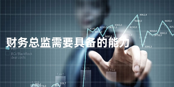 CFO財務(wù)總監(jiān)管理能力提升(500強cfo財務(wù)筆記pdf)