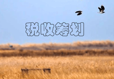 上海稅務(wù)籌劃服務(wù)(稅務(wù)窗口服務(wù)口號(hào))
