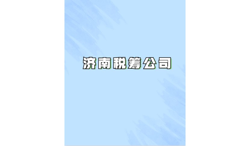山東省泰山市電商公司稅務籌劃網(wǎng)上服務平臺