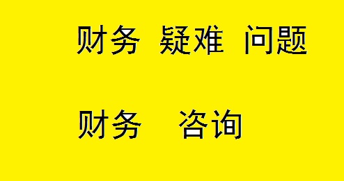稅務(wù)咨詢(xún)